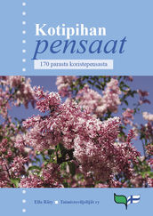 Kotipihan pensaat