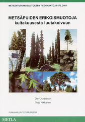 Mets�puiden erikoismuotoja kultakuusesta