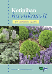 Kotipihan havukasvit