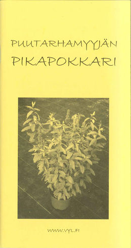 Puutarhamyyj�n pikapokkari