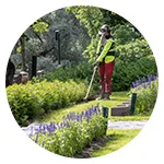 Viherrakentaminen ja kunnossapito ryhmään