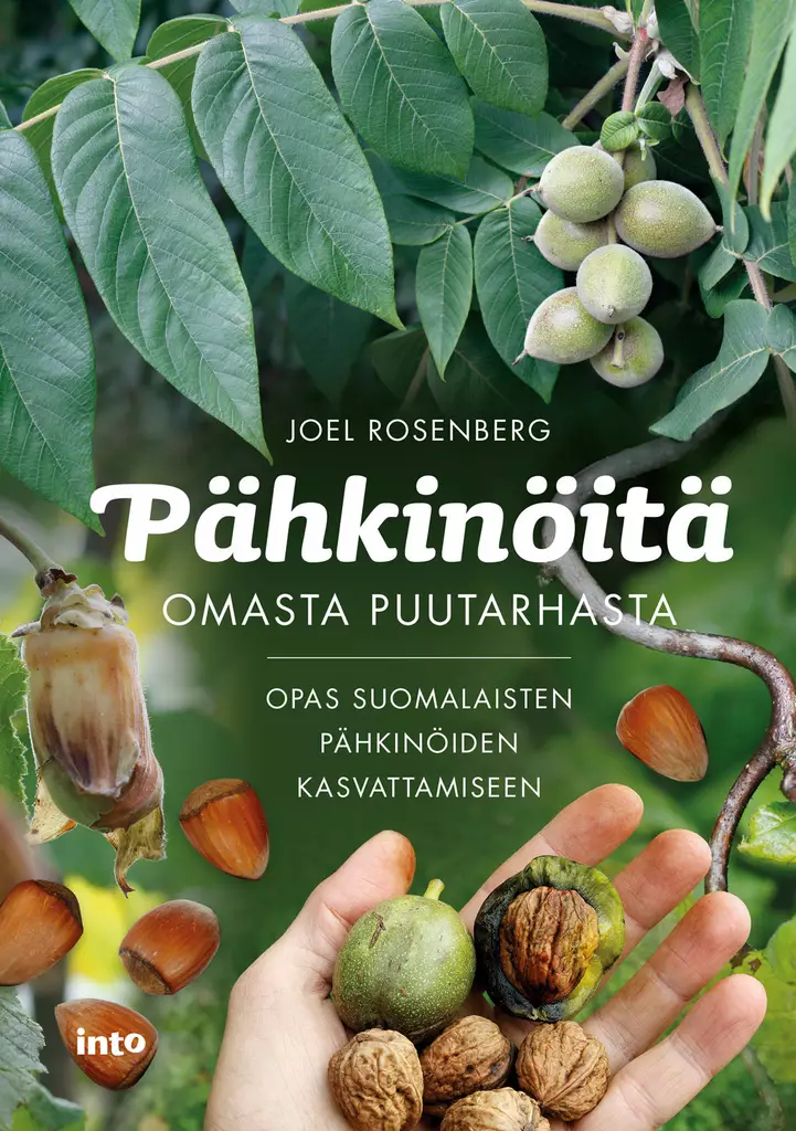 Pähkinöitä omasta puutarhasta - Kasvillisuus - 10344 - 1