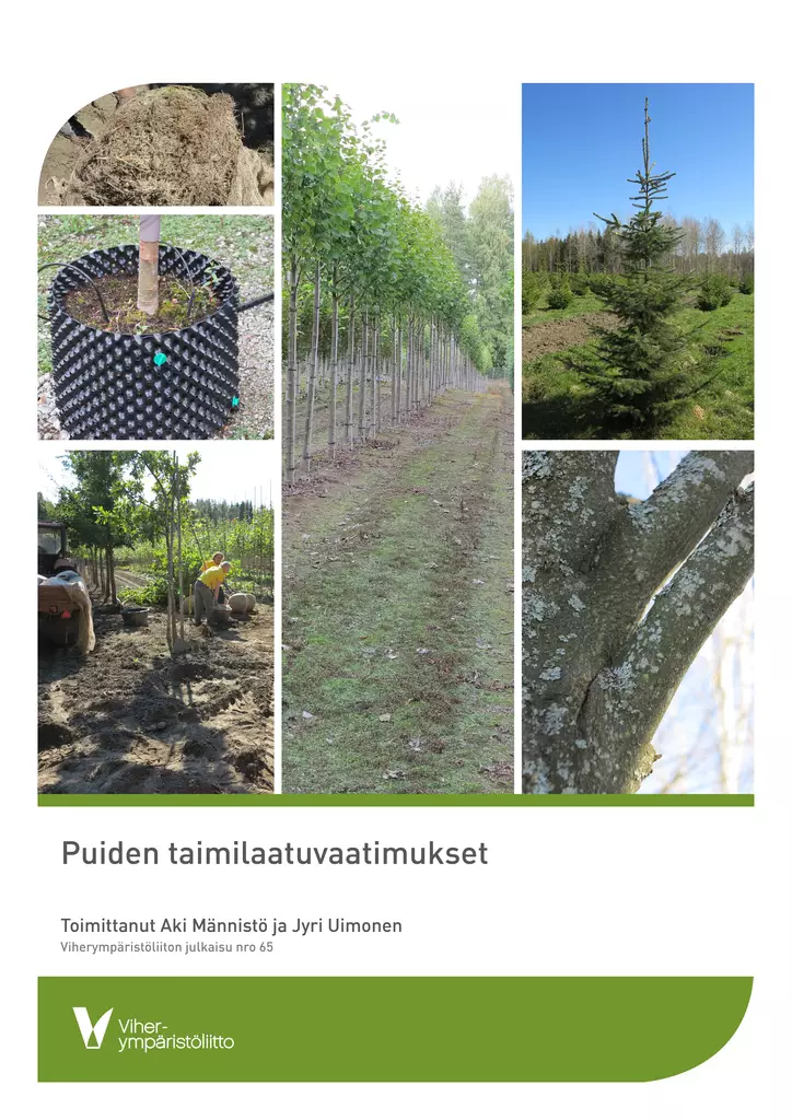 Puiden taimilaatuvaatimukset - Kasvit ja kasvillisuusalueet - 10317 - 1
